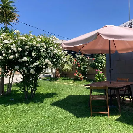 Gk I Part Of Gk Fitness Club Фалираки